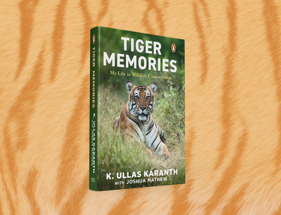 Tiger Man, Burning Bright!