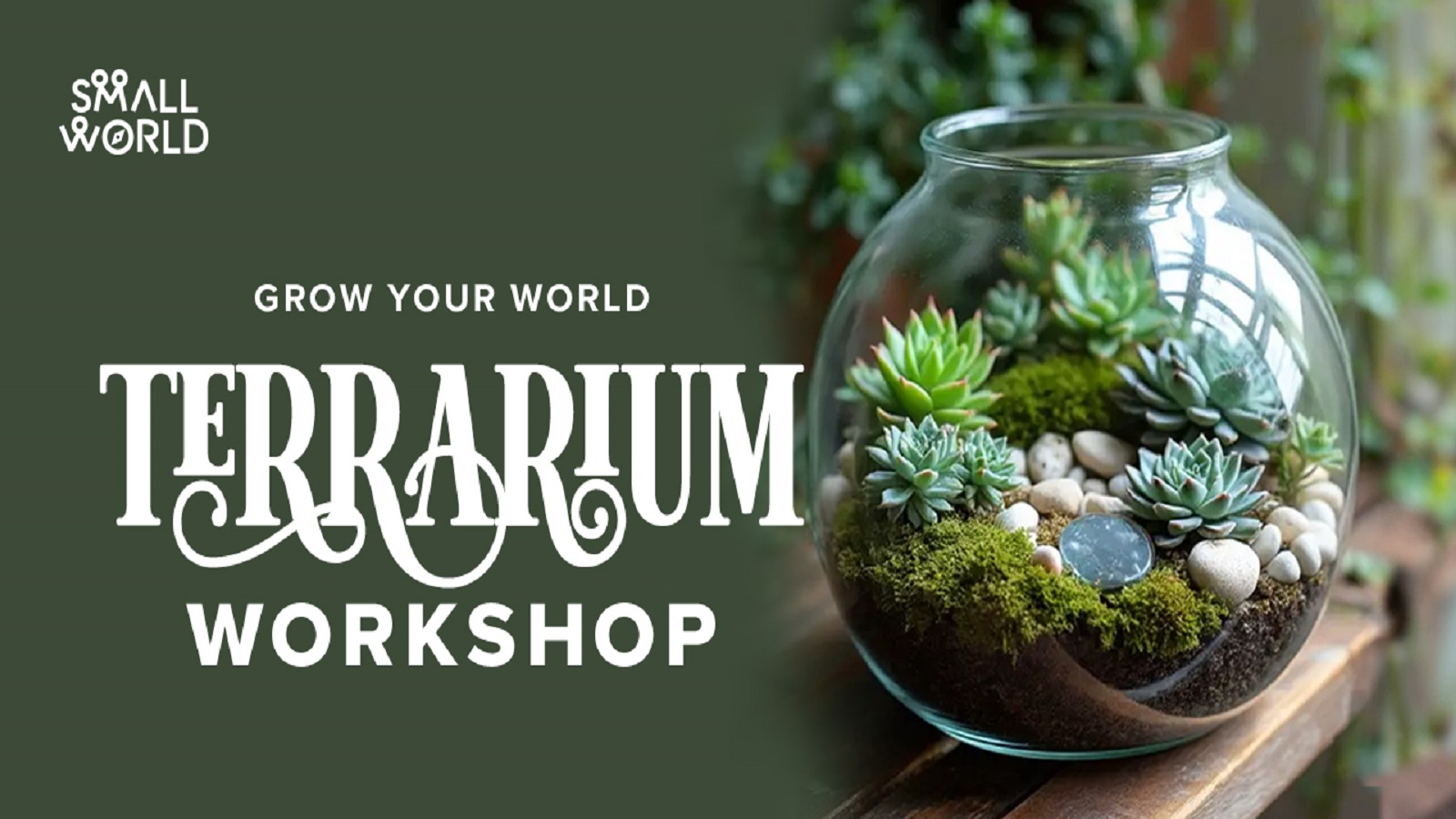 DIY Terrarium